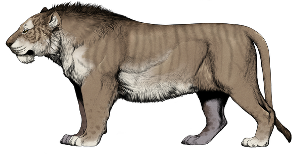Panthera Leo Fossilis
